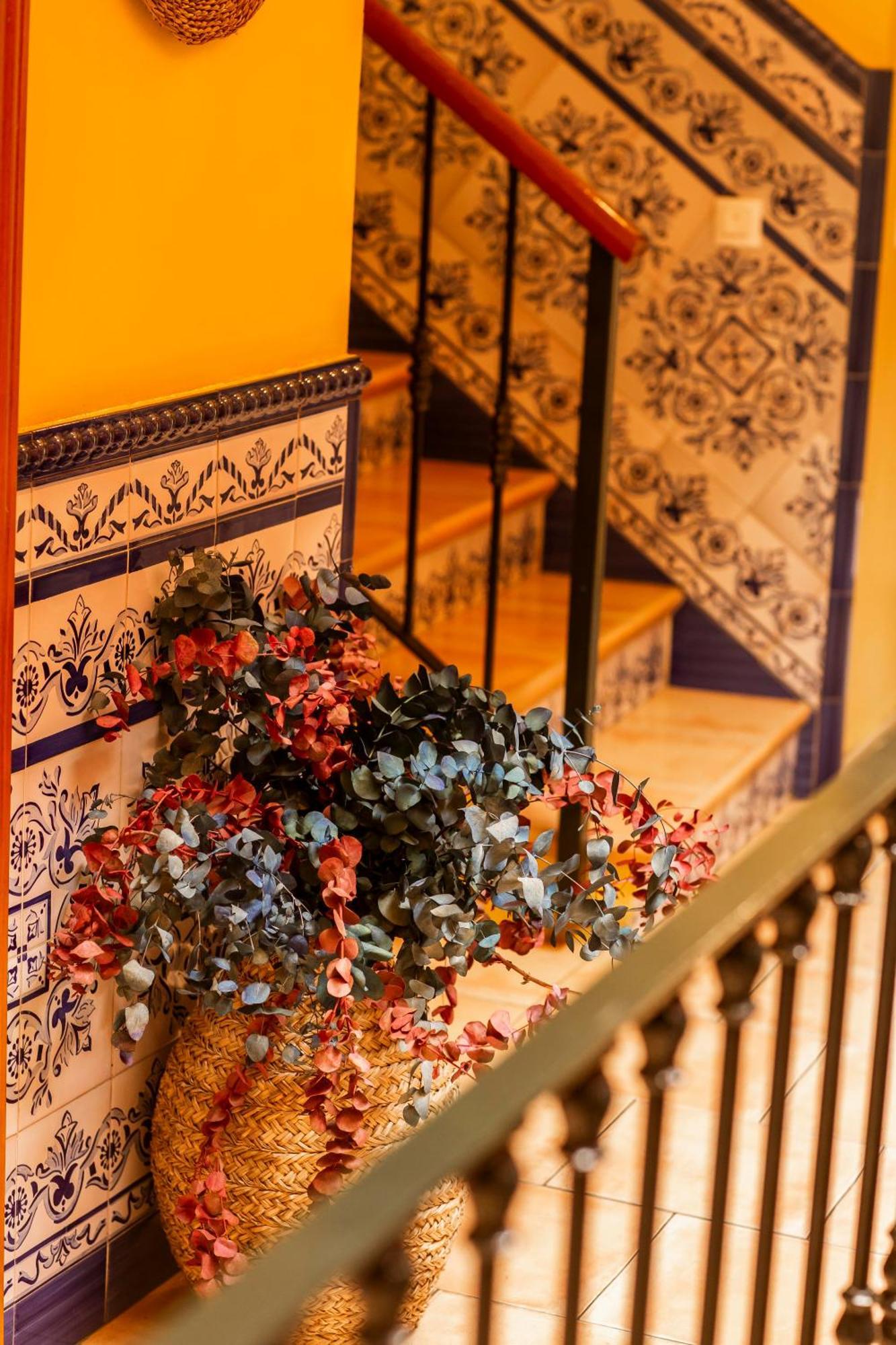 Macarena Guest house *